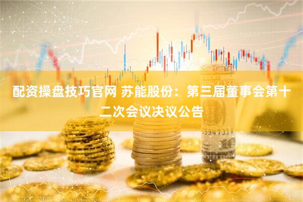 配资操盘技巧官网 苏能股份：第三届董事会第十二次会议决议公告